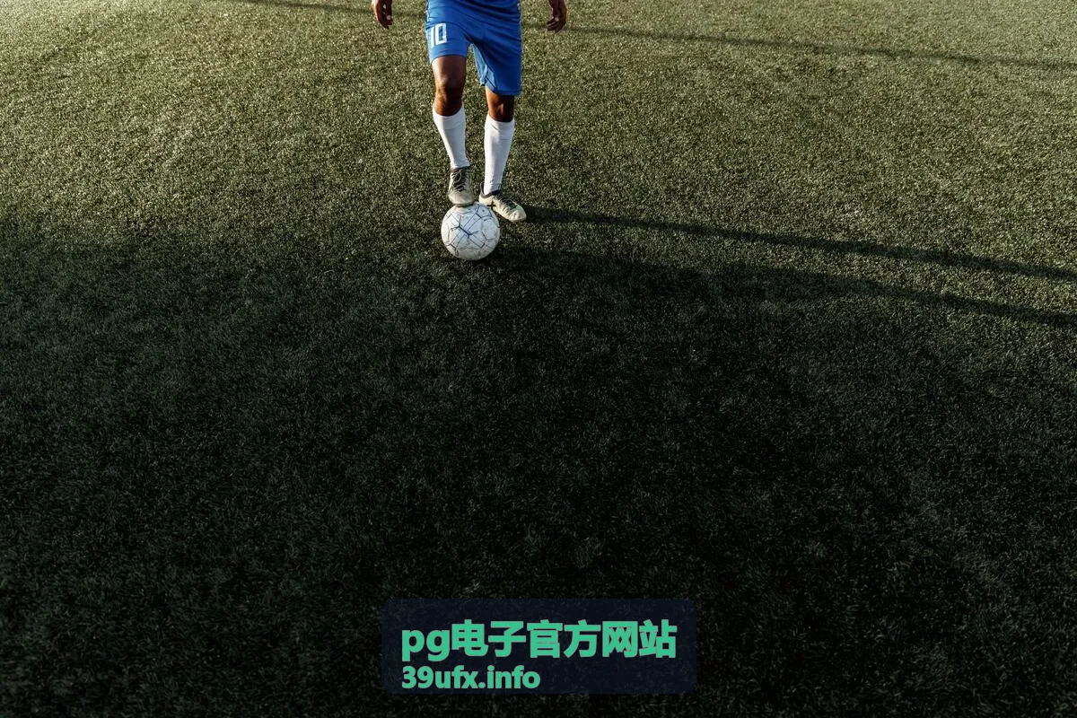 pg电子官方网站 攻略界面展示